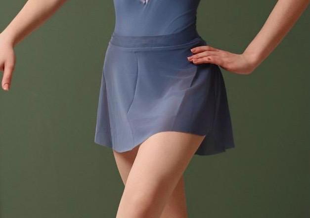 Olton Mesh Ballet Skirt